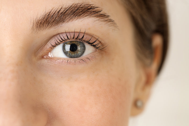 Lash Lift & Brow Lamination - In-Person Private 1 Day Training