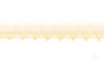 Rapid Setup Promade Yellow Coloured Fans 1000 fans