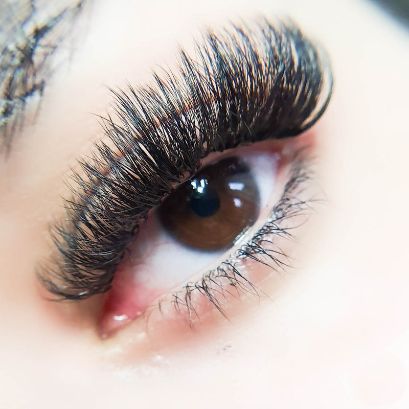Handmade Volume Lash Mastery - In-Person 1-Day Training With Kit And Certificate