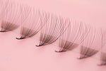 Super sharp and pointy base  - 100% handcrafted by proficient lash artists  - Eco-friendly trays  - Materials: the highest quality Korean PBT fiber  - 100% handmade so they are not identical  - The fans are soft, black, and fluffy which will help you to create beautiful Volume sets easily in the same time as a Classic set.  - Curls: C & D  - Mixed Lengths: 9-16mm  - Dimensions: 18D (0.03mm)