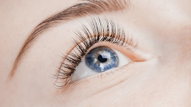 Beginner Lash Course: Classic, Hybrid And Promade Volume - In-Person 1-Day Training With Kit And Certificate