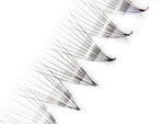 Super sharp and pointy base  - 100% handcrafted by proficient lash artists  - Eco-friendly trays  - Materials: the highest quality Korean PBT fiber  - 100% handmade so they are not identical  - The fans are soft, black, and fluffy which will help you to create beautiful Volume sets easily in the same time as a Classic set.  - Curls: C & D  - Mixed Lengths: 8-15mm  - Dimensions: 8D (0.05mm)