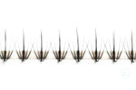 5D Promade Spikes/Wispy Rapid Setup Mixed Lengths 1000 Fans