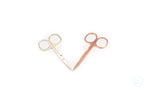 Lash And Brow Scissors