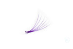 Loose Promade Purple Coloured Fans up to 1000 fans