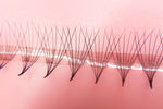 Super sharp and pointy base  - 100% handcrafted by proficient lash artists  - Eco-friendly trays  - Materials: the highest quality Korean PBT fiber  - 100% handmade so they are not identical  - The fans are soft, black, and fluffy which will help you to create beautiful Volume sets easily in the same time as a Classic set.  - Curls: C & D  - Mixed Lengths: 8-15mm  - Dimensions: 8D (0.05mm)