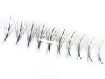 5D Promade Spikes/Wispy Fan Rapid Set Up D Curl with up to 1000 fans. Our Promade Spikes/Wispy Fan Collection gives you the materials you need to create stunning Wispy Volume sets. The fans come in size of 5D with a spike in the middle to help you design the hot Kim-K/ Wispy Volume sets effortlessly. Materials: the highest quality Korean PBT fiber  - Super sharp and pointy base  - 100% handcrafted by proficient lash artists 